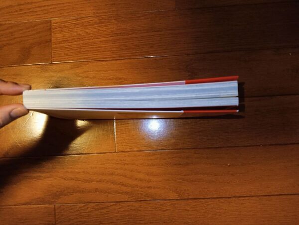 私が見た未来 完全版