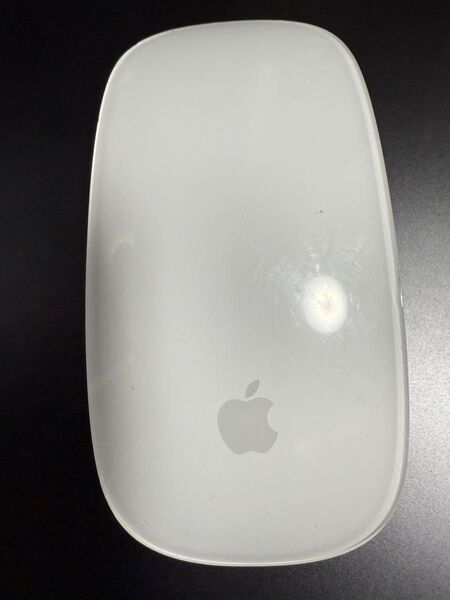 Magic Mouse lightning Bluetooth マウス Apple Mac iPad iPhone