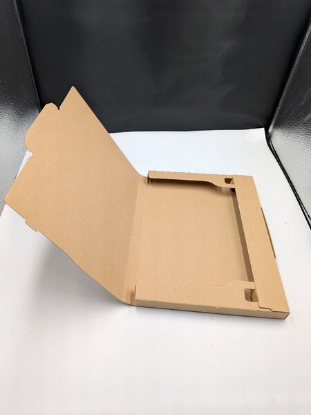 ネコポス ゆうパケット 段ボール×25 無地 柄なし