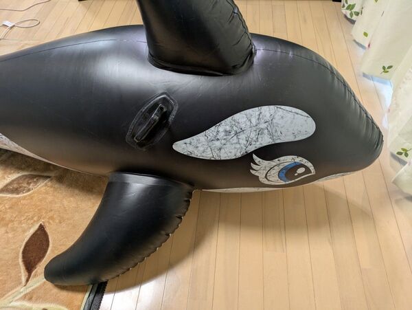 浮き輪 シャチ
