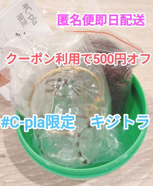 新品 限定 うちの子のけだまだま キジトラ きじとら ガチャ ガチャガチャ うちのこのけだまだま 猫 フィギュア キーリング