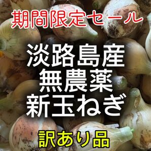 淡路島産無農薬新玉ねぎ訳あり5キロ