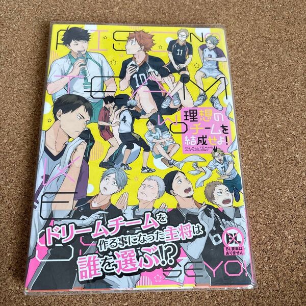 ハイキュー!! 同人誌 「理想のチームを結成せよ」 オールキャラ