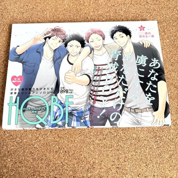 ハイキュー 同人誌 「HQボーイフレンド青城」