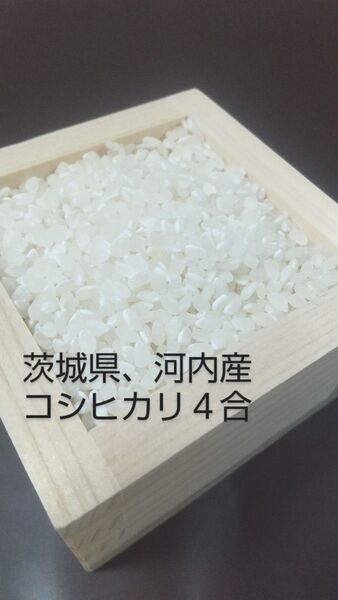 茨城県産※コシヒカリ4合※600g※白米