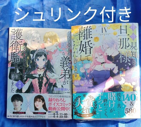わたくしのことが大嫌いな義弟が護衛騎士になりました 、拝啓見知らぬ旦那様