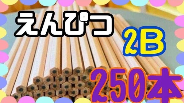 新学期 学用品 鉛筆 大容量 えんぴつ 文具 文房具 筆記用具 無地 ベージュ 大量 シンプル 2B 受験 小学校 事務 まとめ