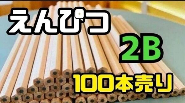 ロゴなし 鉛筆 100本 まとめ売り 2B 六角 小学 大容量 文房具 受験 入学式 えんぴつ 文房具 筆記具 文具 学校 筆箱