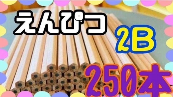 新学期 学用品 鉛筆 大容量 えんぴつ 文具 文房具 筆記用具 無地 ベージュ 大量 シンプル 2B 受験 小学校 事務 まとめ