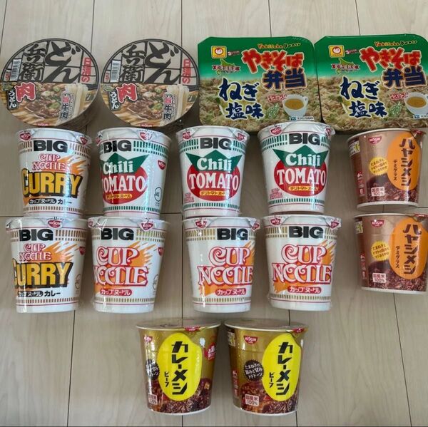 カップヌードルBIG まとめ売り カップラーメン・ハヤシメシ・カレーメシ 計16点