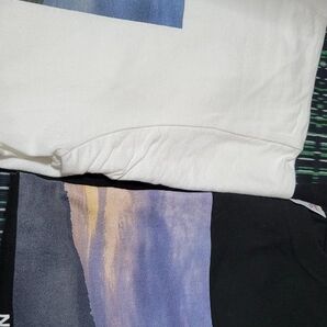 Tシャツ 2枚セット Lサイズ プリント 風景画