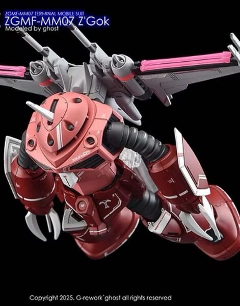 HG 1/144 ズゴック(SEED FREEDOM Ver.) 用水転写式デカール 他社製 ガンダム ガンプラ プラモデル