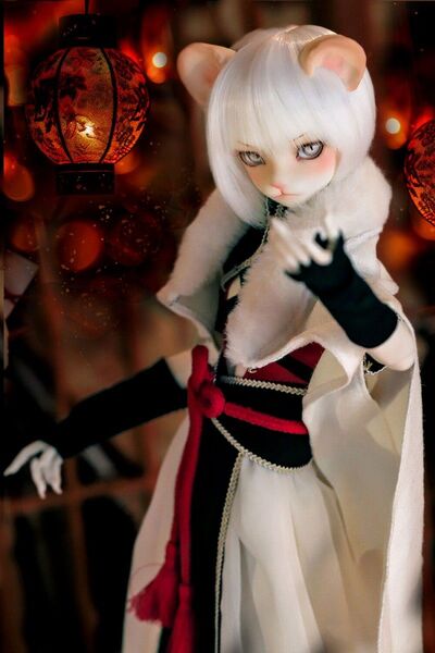 【DOLK×Dream Valley】Uncia - 文豪 Limited キャストドール
