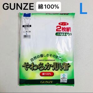 GUNZE 綿100% メンズインナー 半袖 Lサイズ 2枚組