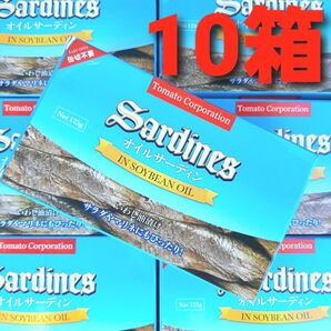 ★タイムセール!★ オイルサーディン 水色 125g 10缶 いわし油漬け いわし 缶詰 鰯 イワシ缶 保存食 非常食 防災 ②