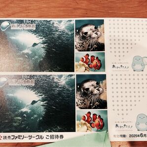 新江ノ島水族館 ご招待券 ペア★