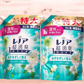 レノア 超消臭1WEEK フレッシュグリーンの香り 特大サイズ770g×2袋