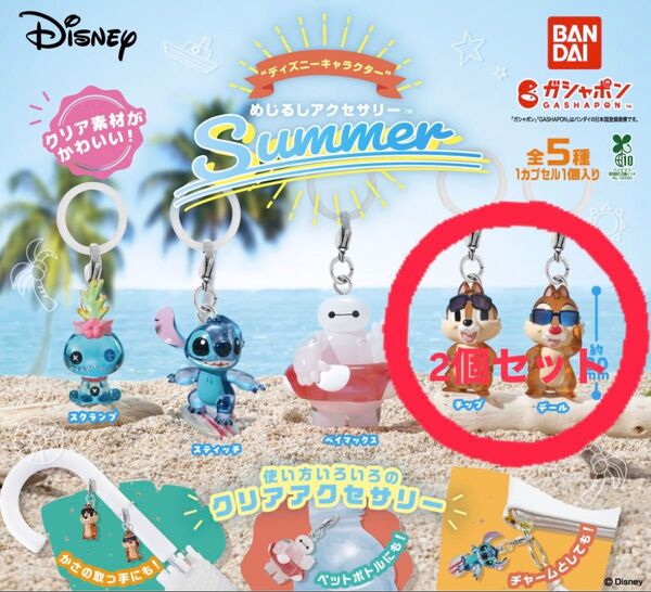 【チップ&デール】めじるしアクセサリー ガチャガチャ めじるしアクセサリー ガチャ Disney ディズニー