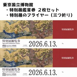 東京国立博物館 特別展観覧券(入場券)2枚セット 来年2026年06月13日まで イマーシブシアター・江戸大奥・運慶 など