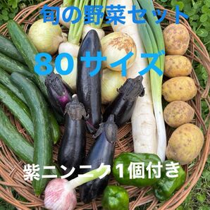 野菜セット 大根 紫ニンニク(皮が紫)ナス 長ネギ 玉ねぎ ジャガイモ きゅうり ピーマン などの中から おまかせで梱包