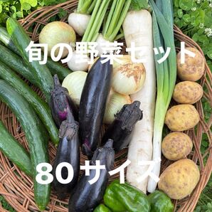 野菜セット 大根 ナス 長ネギ 玉ねぎ ジャガイモ きゅうり ピーマン などの中から おまかせで梱包