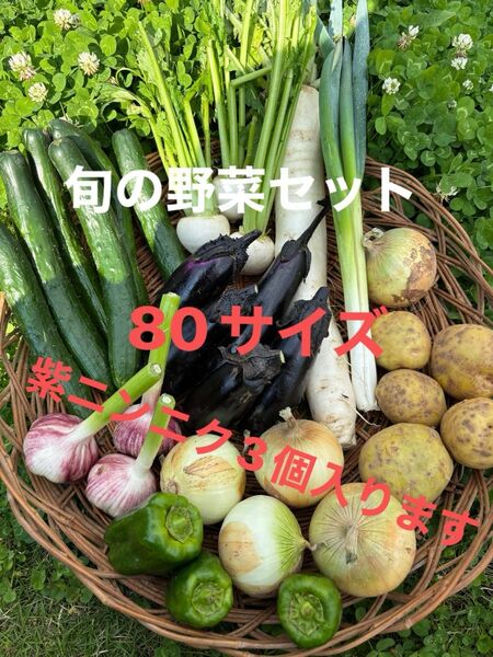 野菜セット 大根 紫ニンニク ナス 長ネギ 玉ねぎ ジャガイモ きゅうり ピーマン などの中から おまかせで梱包