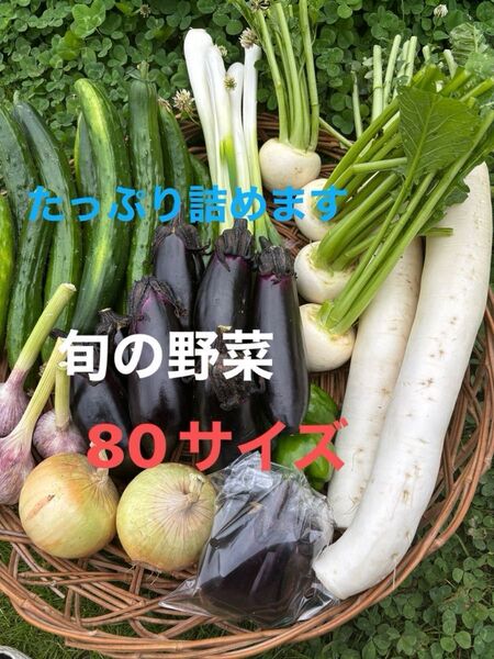 野菜セット紫ニンニク(皮が薄紫)大根ナス長ネギ玉ねぎ ジャガイモきゅうりピーマンなどの中から おまかせで梱包 栽培期間中農薬不使用