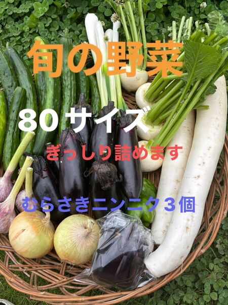 野菜セット紫ニンニク(皮が薄紫)大根ナス長ネギ玉ねぎ ジャガイモきゅうりピーマンなどの中からおまかせで梱包 農薬不使用又は低農薬