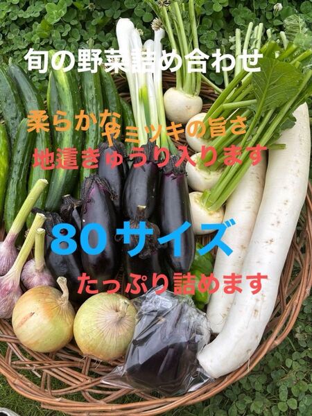 野菜セット紫ニンニク(皮が薄紫)大根ナス長ネギ玉ねぎ ジャガイモきゅうりピーマンなどの中からおまかせで梱包 農薬不使用又は低農薬