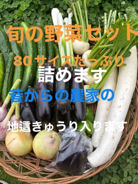 野菜セット紫ニンニク(皮が薄紫)大根ナス長ネギ玉ねぎ ジャガイモきゅうりピーマンなどの中からおまかせで梱包 農薬不使用又は低農薬