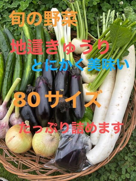 野菜セット紫ニンニク(皮が薄紫)大根ナス長ネギ玉ねぎ ジャガイモきゅうりピーマンなどの中からおまかせで梱包 農薬不使用又は低農薬