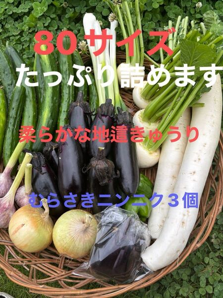 野菜セット紫ニンニク(皮が薄紫)大根ナス長ネギ玉ねぎ ジャガイモきゅうりピーマンなどの中からおまかせで梱包 農薬不使用又は低農薬