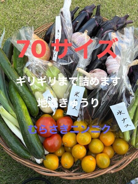 野菜セットミニトマト紫ニンニクアスパラ オクラナス白ナス水ナス玉ねぎきゅうりピーマンなどの中からおまかせで梱包農薬不使用又は低農薬
