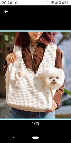 犬用 お散歩バッグ キャリー 抱っこ 高齢犬 お出かけ に