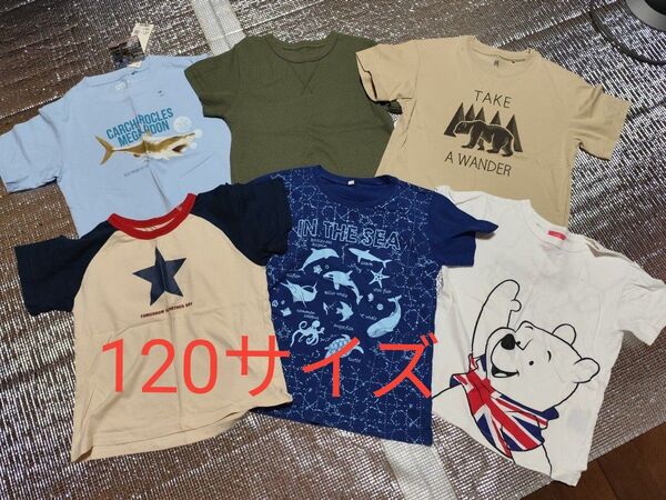 120サイズ 半袖Tシャツ 男の子 サメ プーさん