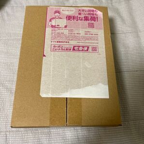 ブラックボルトポケセン当選品