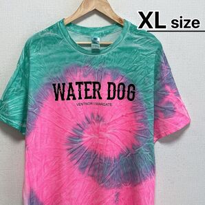 USA古着 Tシャツ XL タイダイ柄 ライトブルー ピンク WATER DOG