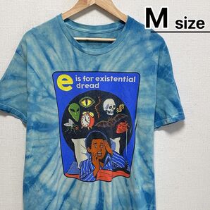 USA古着 Tシャツ M ライトブルー タイダイ柄 Steven Rhodes