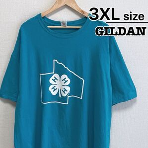 USA古着 GILDAN Tシャツ 3XL ブルー プリント クローバー 4H