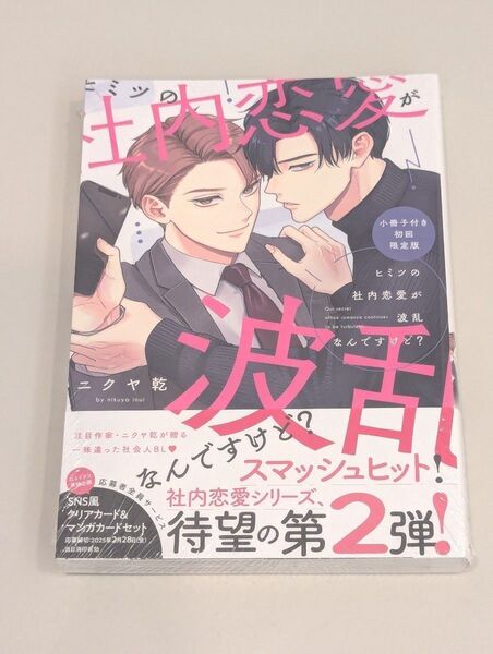 未開封 ヒミツの社内恋愛が波乱なんですけど?