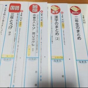 小学3年生 【国語】 光文書院 カラーテスト 小3