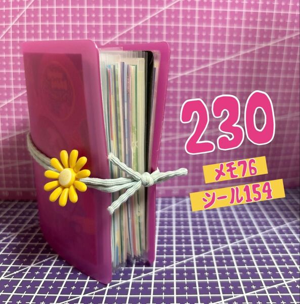 ピンクミニポケット おすそ分けファイル 230枚