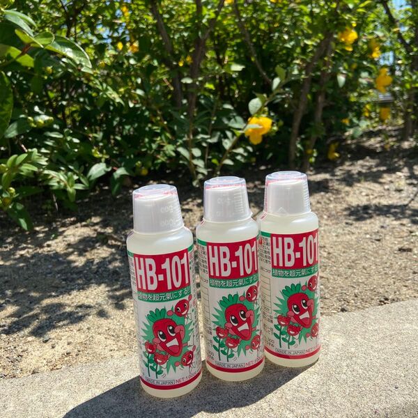 天然植物活力液 HB-101 100cc×3本セット