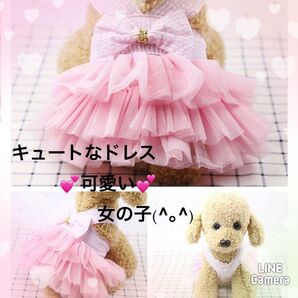 犬用ドレス フリフリ 記念日 お出掛け 猫 うさぎ 可愛い チュール リボン