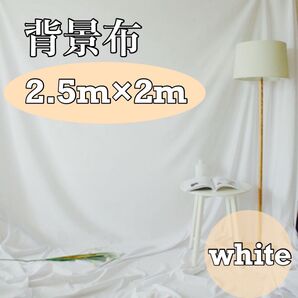 背景布 2m×2.5m 撮影用 インスタ SNS モデル インテリア 目隠し スクリーン 写真撮影 無地 白