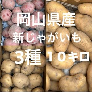 岡山県産 無農薬 新ジャガイモ 3種セット アンデス 男爵 メークイン 10キロ