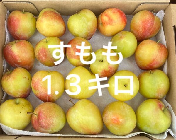 岡山のすもも プラム コンパクト約1.3キロ 6/28収穫 発送(3)