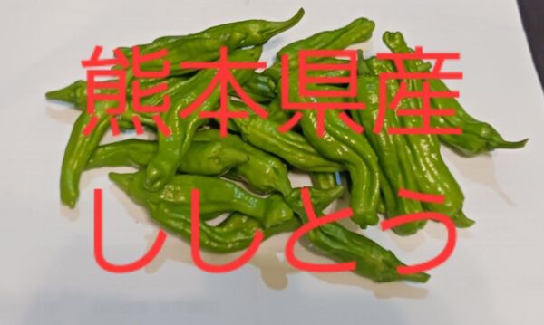 ししとう500g農薬不使用, 農家直送 ネコポスいっぱい!