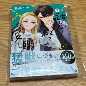 踏んだり、蹴ったり、愛したり 踏み愛 5巻 壱屋すみ