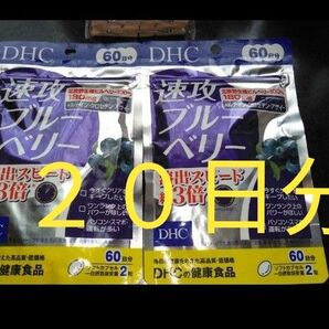 DHC 速攻ブルーベリー 60日分 2袋セット